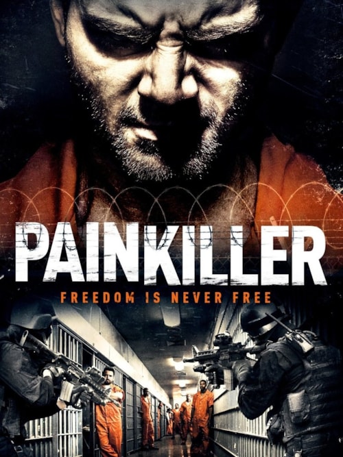 Painkiller poster